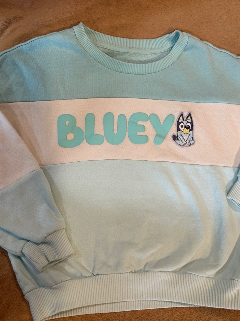 Light Blue & White 'Bluey' Kids Crewneck Sweatshirt